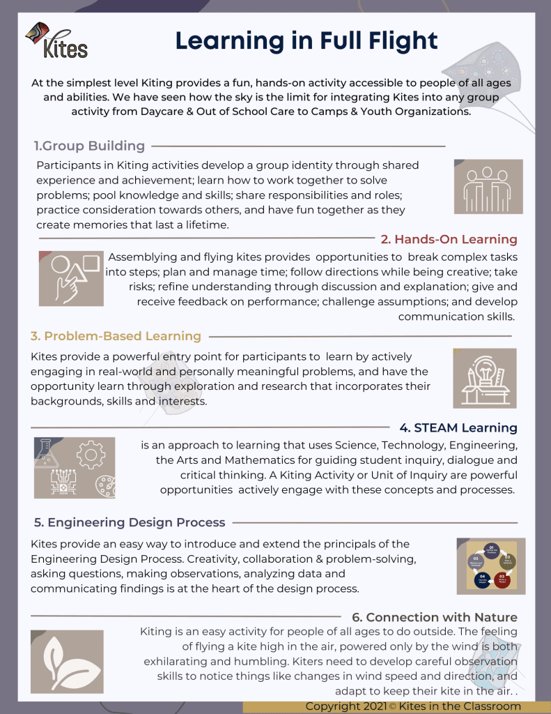 Learning in Full Flight Learning in Full Flight - Infographic