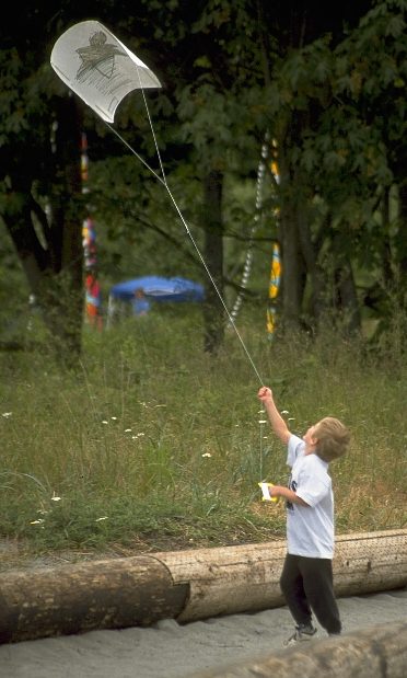 Boy flying Kite