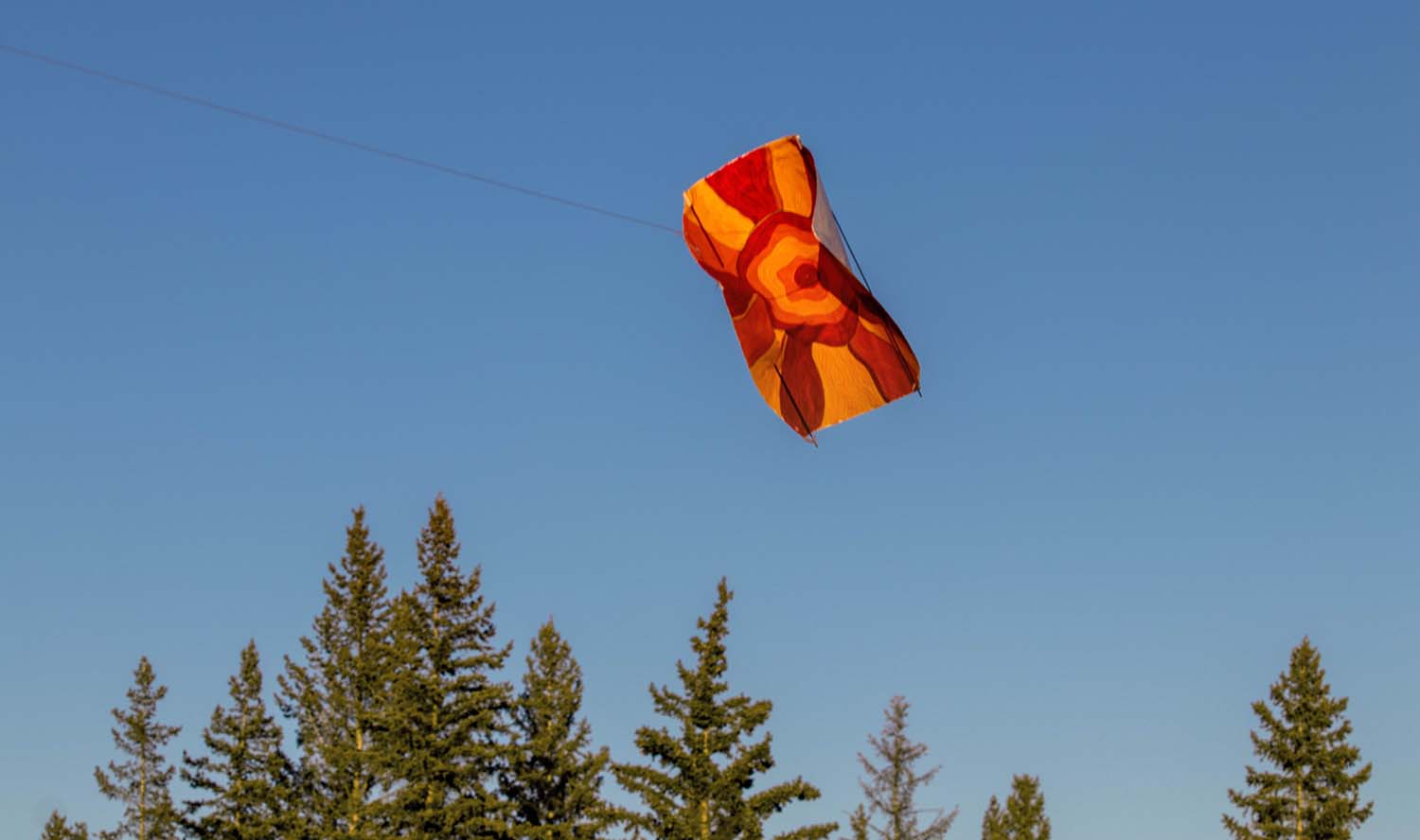 kites in the classroom sun kite over pine trees